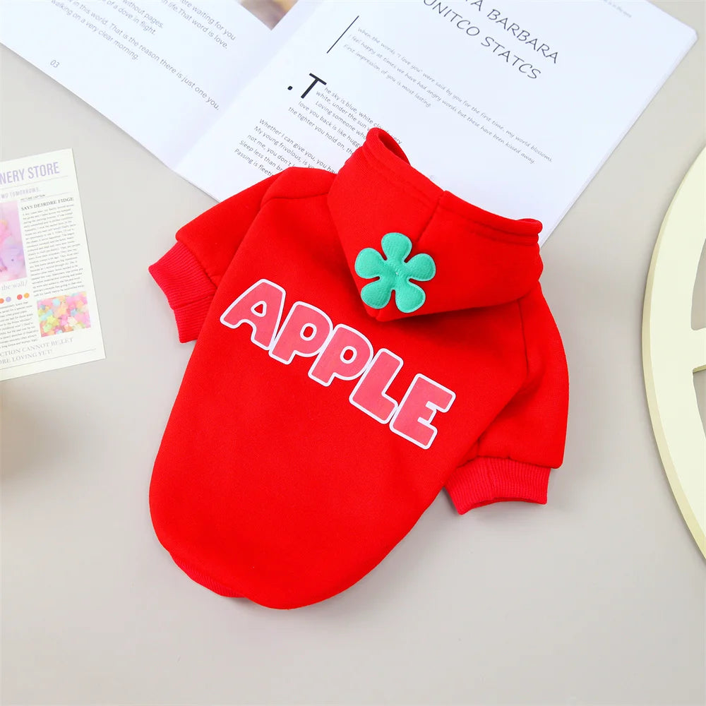 Classic Fruit Print Cat Hoodie – Warm Autumn/Winter Sweater for Sphynx Cats