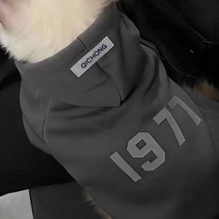 Simple Number Print Pet Hoodie – Solid Color, Thick & Warm for Small Cats