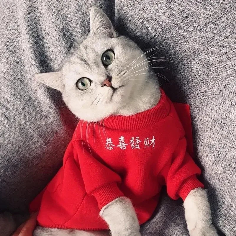 Chinese New Year Pet Hoodie – Winter Coat for Cats