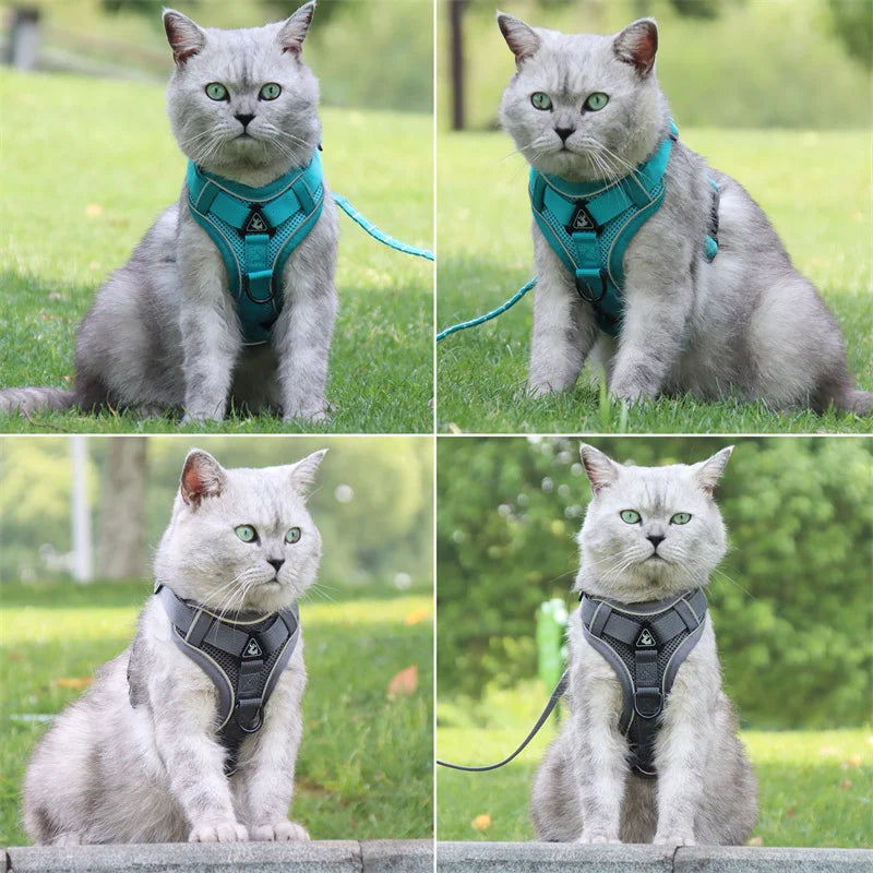 Reflective Mesh Cat Harness & Leash – Breathable Fashion Harness Set for Small Cats