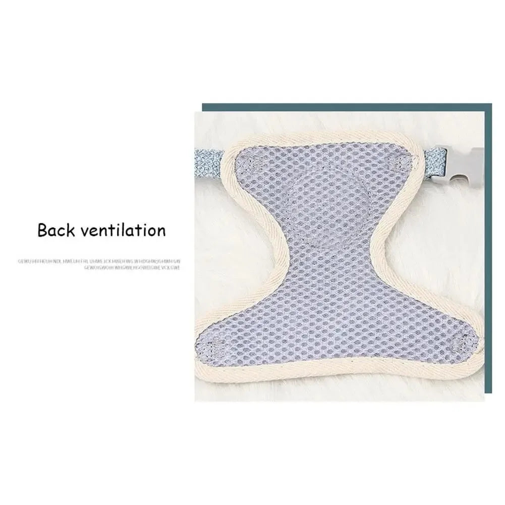 Kittens Harness & Collar – Adjustable Pet Supplies for Small Cats