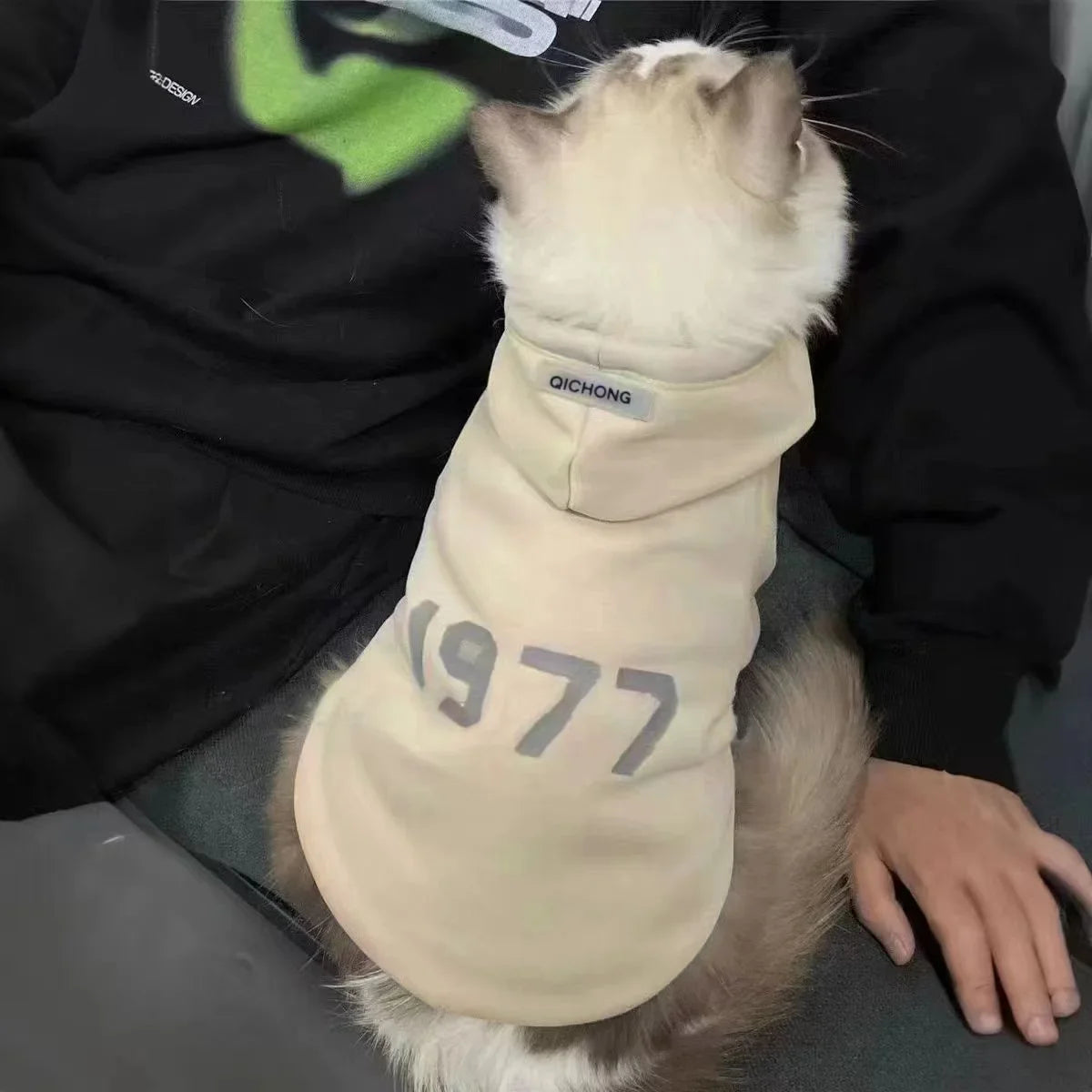 Simple Number Print Pet Hoodie – Solid Color, Thick & Warm for Small Cats