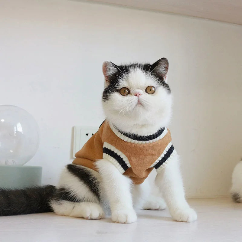 Winter Pet Sweater – Pullover Vest for Small  Cats