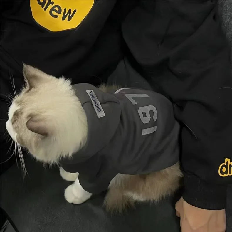 Simple Number Print Pet Hoodie – Solid Color, Thick & Warm for Small Cats