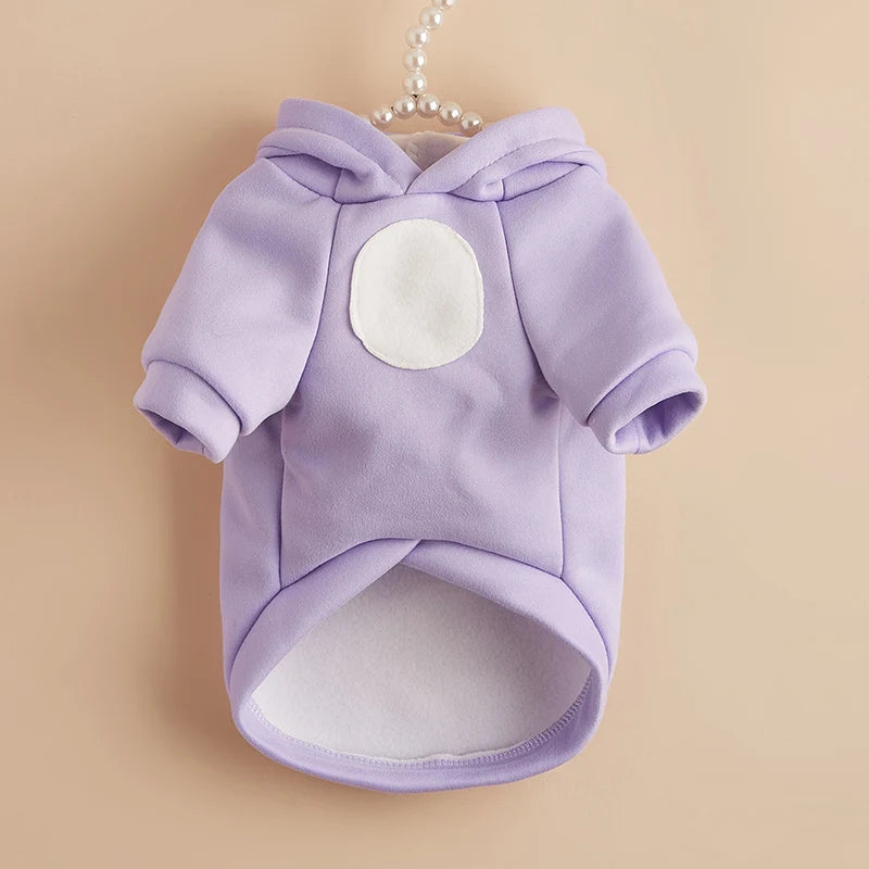 Winter Pet Hoodie – Warm Sweater for Cats, Sphynx & Persian Kittens