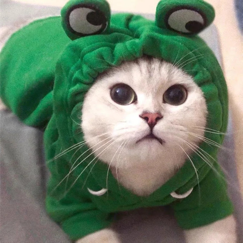 Frog-Shaped Plush Pet Hoodie – Cute Cosplay Coat for Cats