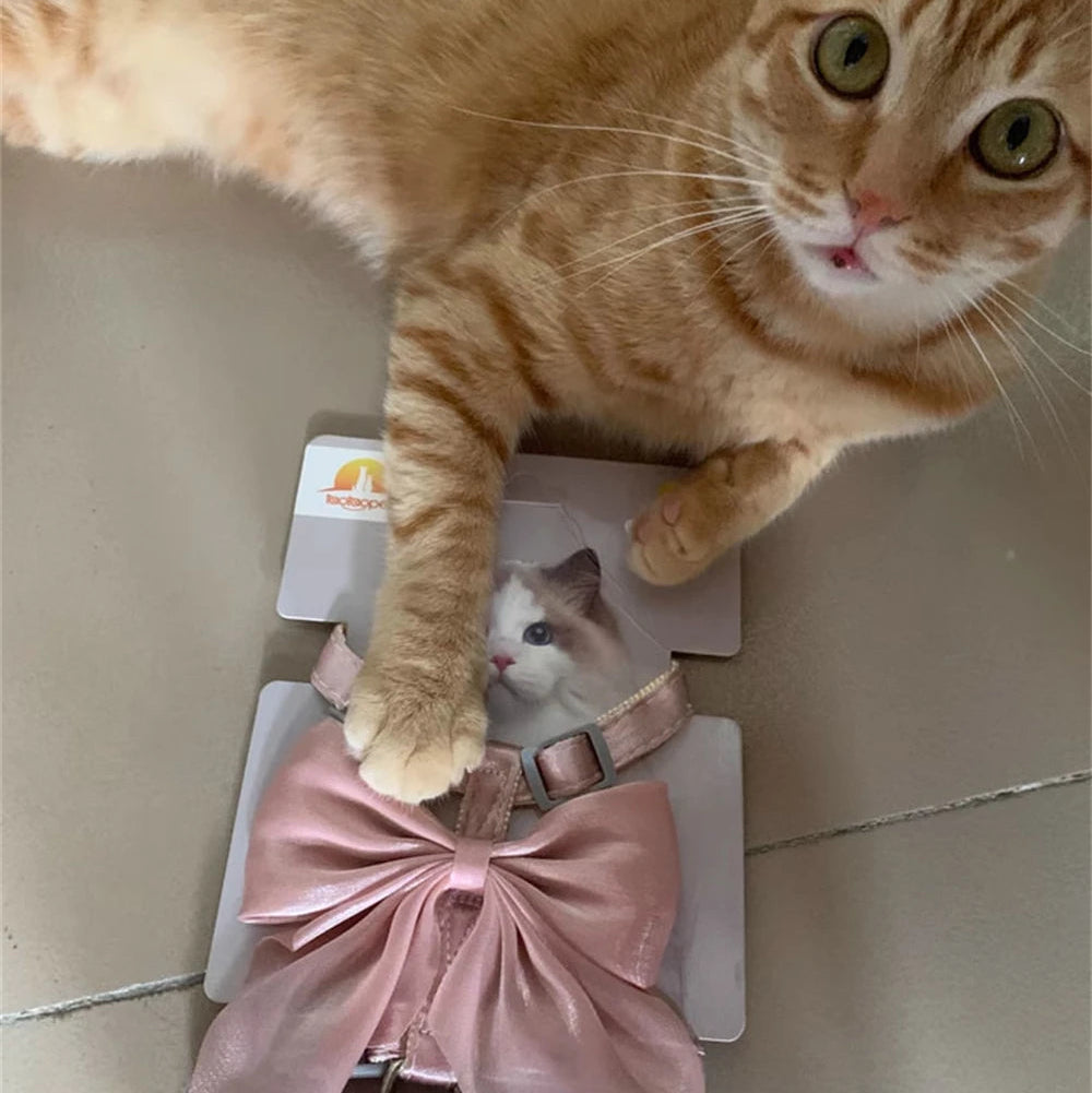 Bowknot Cat Harness – Cute Princess Dress-Style Harness with Leash for Kittens