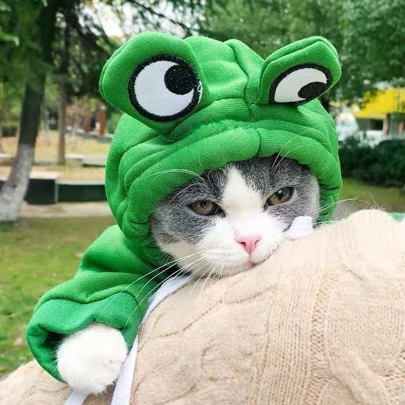 Frog-Shaped Plush Pet Hoodie – Cute Cosplay Coat for Cats