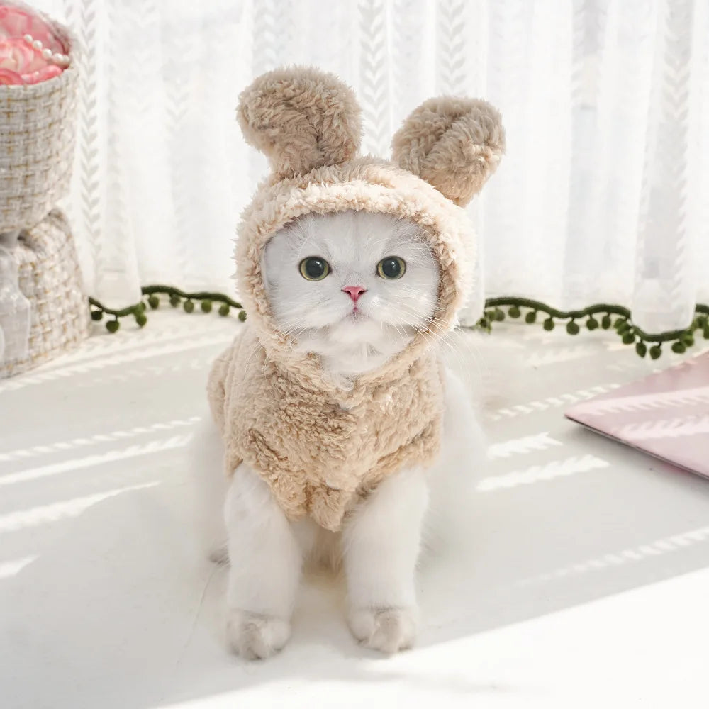 Autumn/Winter Pet Hoodie – Warm & Thick Cute Pattern Hoodie for Cats