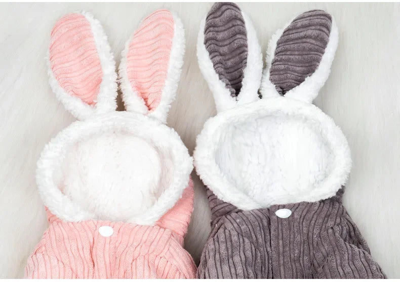 Warm Winter Pet Hoodie – Cute Bunny Coat for Kittens, Cats