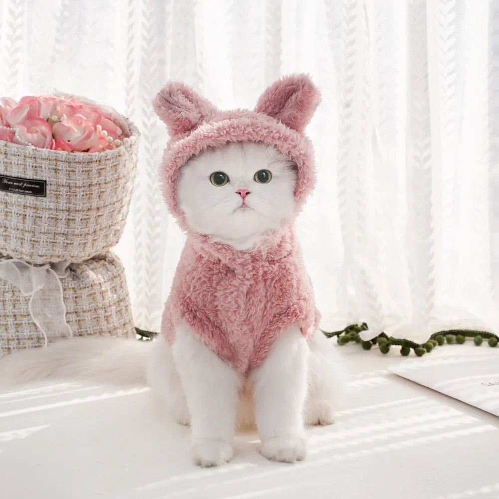 Autumn/Winter Pet Hoodie – Warm & Thick Cute Pattern Hoodie for Cats