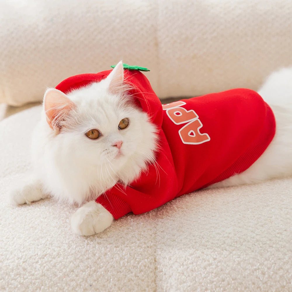 Classic Fruit Print Cat Hoodie – Warm Autumn/Winter Sweater for Sphynx Cats