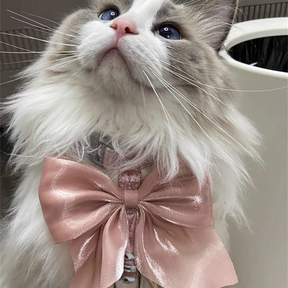 Bowknot Cat Harness – Cute Princess Dress-Style Harness with Leash for Kittens