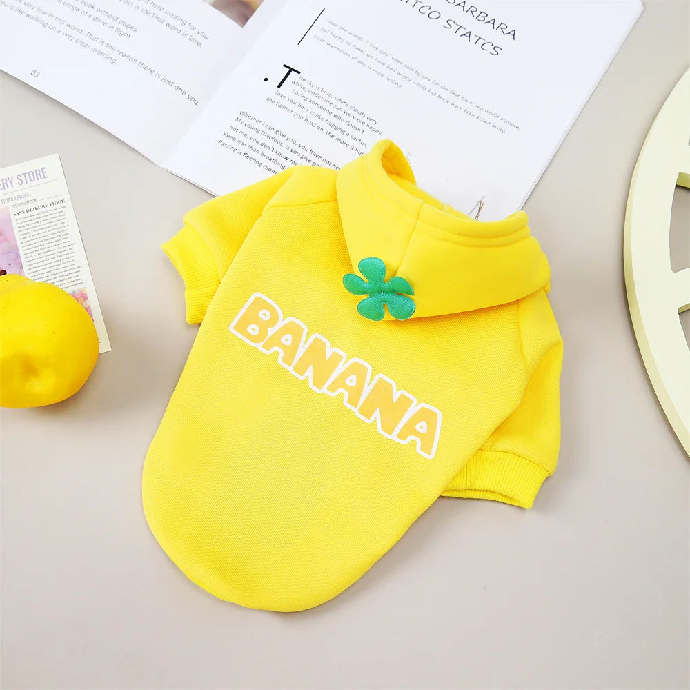 Classic Fruit Print Cat Hoodie – Warm Autumn/Winter Sweater for Sphynx Cats