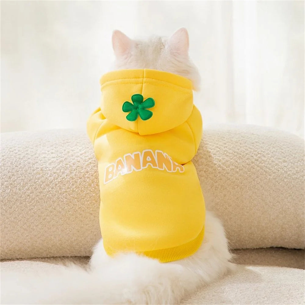 Classic Fruit Print Cat Hoodie – Warm Autumn/Winter Sweater for Sphynx Cats